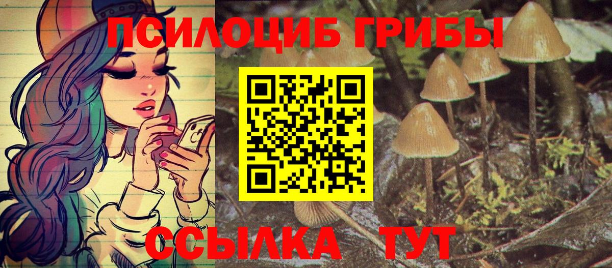 Псилоцибиновые грибы Psilocybine cubensis  Вход с VPN  Галлюциногенные грибы GOLDEN TEACHER  Лесосибирск 