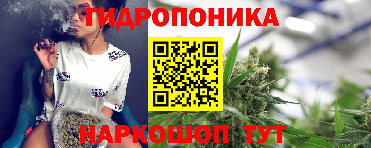 Бошки Шишки план  Марихуана Ganja  Лесосибирск  Конопля конопля  Вход с VPN 
